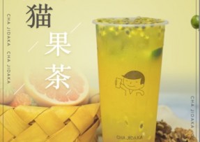 海星tv：熊猫果茶