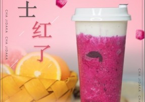 海星tv：芝士红了